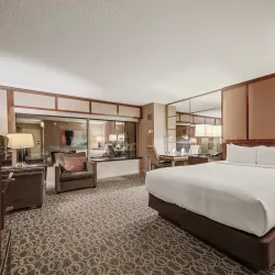 MGM Grand Las Vegas - Paradise