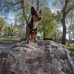 Paradise Park - Paradise