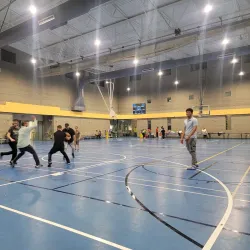 Paradise Park - Paradise