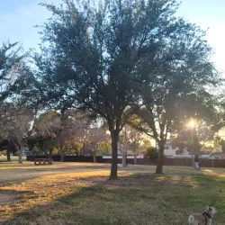 Paradise Park - Paradise