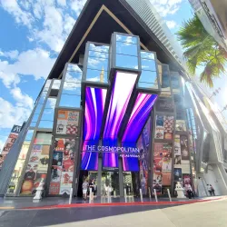 The Cosmopolitan of Las Vegas - Paradise