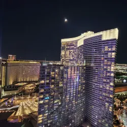 The Cosmopolitan of Las Vegas - Paradise