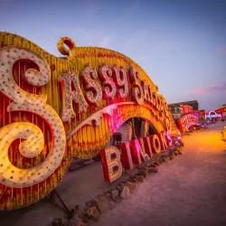 The Neon Museum - Paradise
