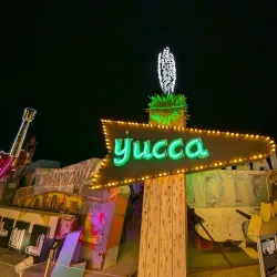 The Neon Museum - Paradise