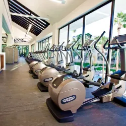 Tropicana Las Vegas - Paradise