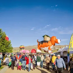 Great Reno Balloon Race - Reno