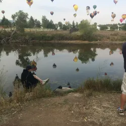Great Reno Balloon Race - Reno