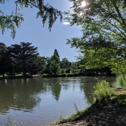 Idlewild Park - Reno