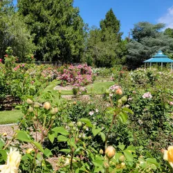 Idlewild Park - Reno