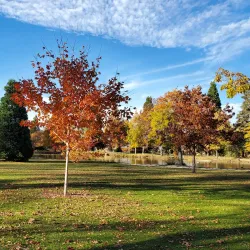 Idlewild Park - Reno