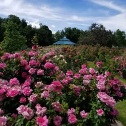 Idlewild Park - Reno