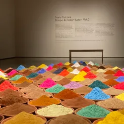 Nevada Museum of Art - Reno