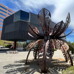 Nevada Museum of Art - Reno