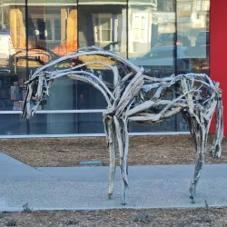 Nevada Museum of Art - Reno