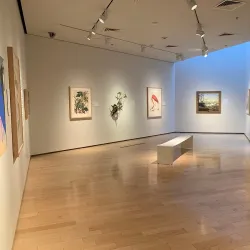 Nevada Museum of Art - Reno