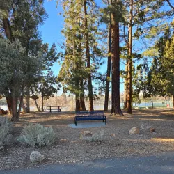 Virginia Lake Park - Reno