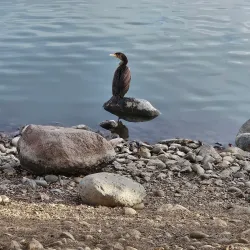Virginia Lake Park - Reno