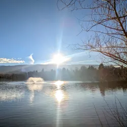 Virginia Lake Park - Reno