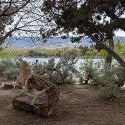 Virginia Lake Park - Reno