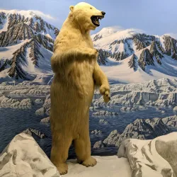 Wilbur D. May Center - Reno