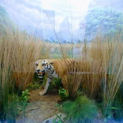 Wilbur D. May Center - Reno