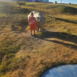 Sparks Glenshire Skatepark - Sparks