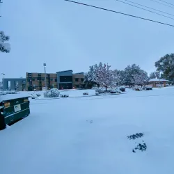 Sparks Library - Sparks