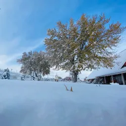 Sparks Library - Sparks