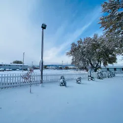 Sparks Library - Sparks