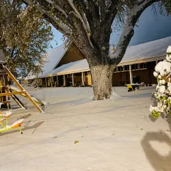 Sparks Library - Sparks