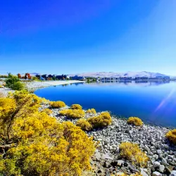 Sparks Marina Park - Sparks