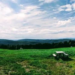 Local Farms and Orchards - Canaan