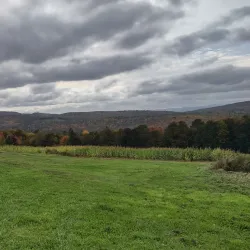 Local Farms and Orchards - Canaan