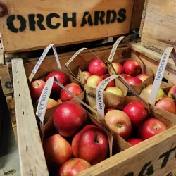 Local Farms and Orchards - Canaan