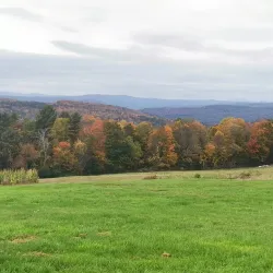 Local Farms and Orchards - Canaan