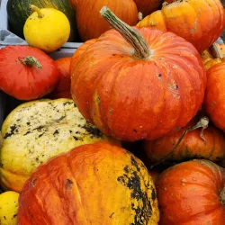 Local Farms and Orchards - Canaan