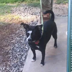 Claremont City Park - Claremont