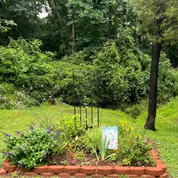 Claremont City Park - Claremont