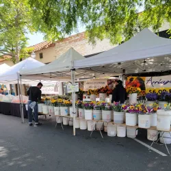 Claremont Farmers Market - Claremont
