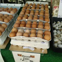 Claremont Farmers Market - Claremont