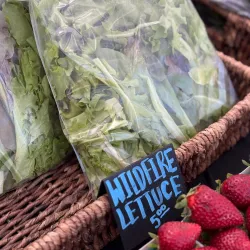 Claremont Farmers Market - Claremont