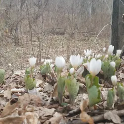 Sugar River Rail Trail - Claremont