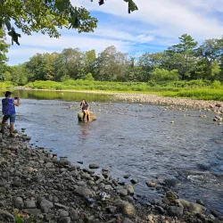 Sugar River Rail Trail - Claremont