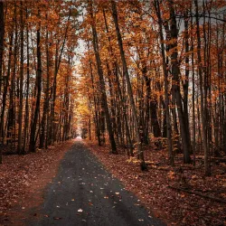 Sugar River Rail Trail - Claremont