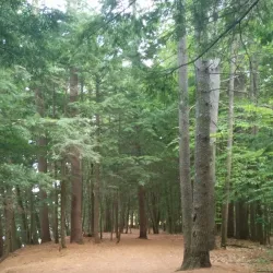 Beaver Meadow Golf Course - Concord