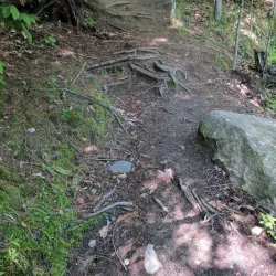 Beaver Meadow Golf Course - Concord