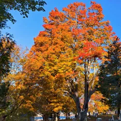 Riverside Cemetery - Concord