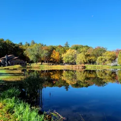 White Park - Concord