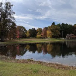 White Park - Concord