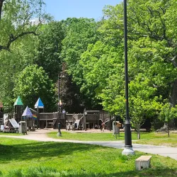 White Park - Concord